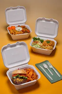 20 oz Fiber 5 Compartment Trays | Compostable School Lunch Tray